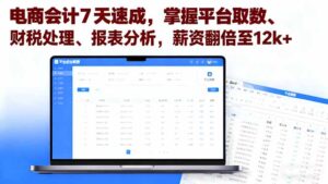 电商会计7天速成，掌握平台取数、财税处理、报表分析，薪资翻倍至12k+-知识创作