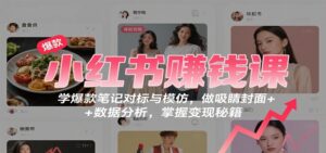 小红书赚钱课：学爆款笔记对标与模仿，做吸睛封面 + 数据分析，掌握变现秘籍-知识创作