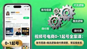 视频号电商0-1起号全案课：账号搭建+推流逻辑+微付费调整，等实操体系-知识创作