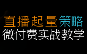 半野老师·直播带货起量与微付费必学课视频号-知识创作