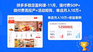 拼多多稳定盈利课-11月，强付费SOP+微付费高投产+活动矩阵，单店月入10w+-知识创作