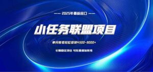 小任务联盟项目：一台电脑每天只需10分钟，轻松简单稳定-知识创作