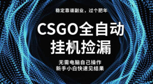 【稳定副业】全球最热门游戏CSGO全自动捡漏，最新玩法，新手小白日入5张+【揭秘】-知识创作