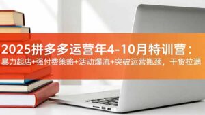 2025拼多多运营年4-10月特训营：暴力起店+强付费策略+活动爆流+突破运营瓶颈，干货拉满-知识创作