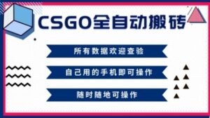CSGO全自动搬砖，年底钱回家好项目，当天可拿到结果，新手小白轻松月入1W+【揭秘】-知识创作