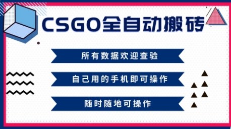 CSGO全自动搬砖，年底钱回家好项目，当天可拿到结果，新手小白轻松月入1W+【揭秘】-知识创作