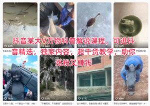 抖音某大V万物科普解说课程，可进抖音精选，独家内容，超干货教学，助你涨粉又賺钱-知识创作