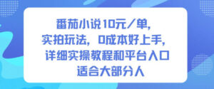 番茄小说10米每单，实拍玩法，0成本好上手，详细实操教程和平台入口适合大部分人-知识创作
