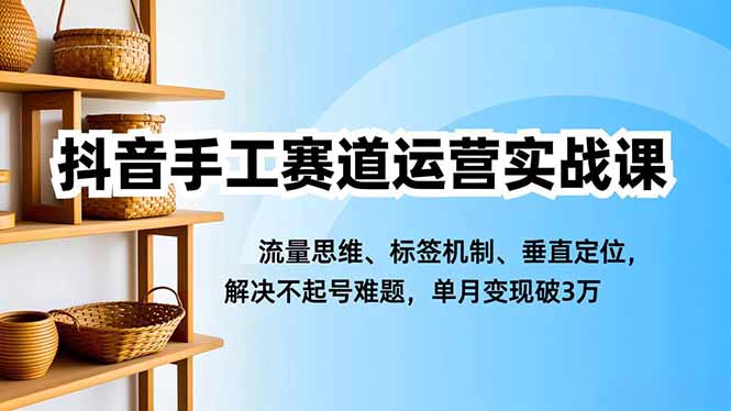 抖音手工赛道运营实战课，流量思维、标签机制、垂直定位，解决不起号难题，单月变现破3万-知识创作