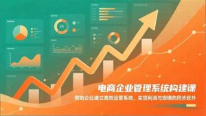 电商企业管理系统构建课：帮助企业建立高效运营系统，实现利润与规模的同步跃升-知识创作