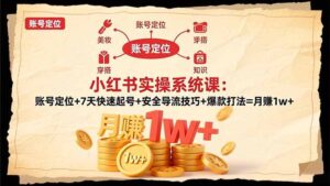 小红书实操系统课：账号定位+7天快速起号+安全导流技巧+爆款打法=月赚1w+-知识创作