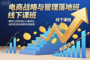 电商战略与管理落地班线下课，教你公司如何从小做到大，如何实现业绩和利润倍增【录音】-知识创作