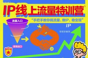 IP线上流量特训营，手把手教你搞流量、做IP、稳变现-知识创作