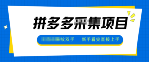 拼多多电商采集，一小时50+，操作简单，零投资-知识创作
