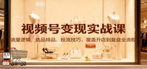 视频号变现实战课：流量逻辑、选品排品、投流技巧，覆盖开店到复盘全流程-知识创作