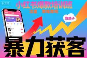 小红书爆款培训班，小红书获客野路子流量打法，暴力持续获客-知识创作