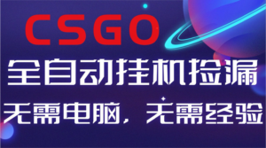 【副业好项目】全球火爆游戏CSGO自动捡漏，新手小白日入500+-知识创作