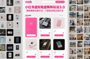 小红书虚拟矩阵玩法3.0，铺货铺笔记型打法，少款狂怼笔记型打法-知识创作