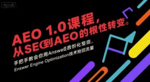 AEO 1.0 课程，从SEO到AE0的基命性转变，手把手教会你用AnswerEngineOptimization技术抢回流量(更新)-知识创作
