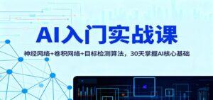 AI入门实战课：神经网络+卷积网络+目标检测算法，30天掌握AI核心基础-知识创作