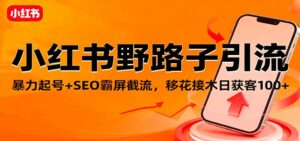 小红书野路子引流，暴力起号+SEO霸屏截流，移花接木日获客100+-知识创作