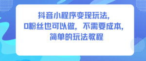 抖音小程序变现玩法，0粉丝也可以做，不需要成本，简单的玩法教程-知识创作