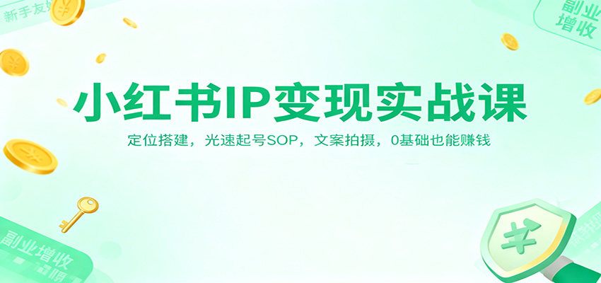 小红书IP变现实战课：定位搭建，光速起号SOP，文案拍摄，0基础也能赚钱-知识创作