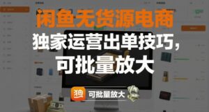闲鱼无货源电商，独家运营出单技巧，可批量放大-知识创作