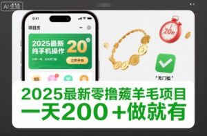 2025最新零撸薅羊毛项目，纯手机操作，20秒一单，无任何门槛，一天200+做就有【揭秘】-知识创作