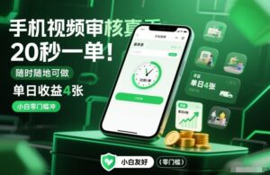 手机视频审核真香！20秒一单，随时随地可做，单日收益4张，小白零门槛冲【揭秘】-知识创作