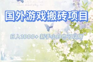 国外游戏搬砖项目，日入1k+，全自动解放双手，新手小白也可做【揭秘】-知识创作