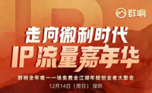 2025ip嘉年华万人12月14深圳线下课，走向微利时代，IP流量嘉年华，实操性极强的商业干货课-知识创作