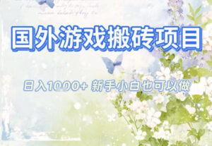 国外游戏全自动搬砖项目，日入10张，新手小白也可做，项目红利期，先搞先吃肉【揭秘】-知识创作