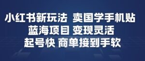 小红书新玩法，卖国学手机贴，蓝海项目，变现灵活，起号快，商单接到手软-知识创作