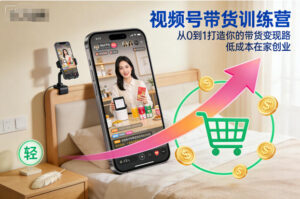 视频号带货训练营，从0到1打造你的带货变现路，低成本在家创业-知识创作