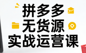 子枫老师·拼多多无货源实战运营课(更新12月)-知识创作