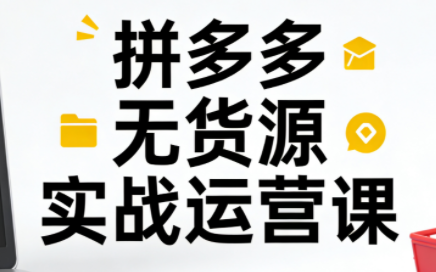 子枫老师·拼多多无货源实战运营课(更新12月)-知识创作