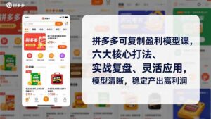 拼多多可复制盈利模型课，六大核心打法、实战复盘、灵活应用，模型清晰，稳定产出高利润-知识创作