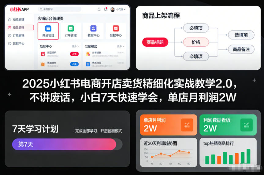 2025小红书电商开店卖货精细化实战教学2.0，不讲废话，小白7天快速学会，单店月利润2W-知识创作