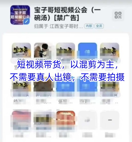 宝子哥头部团队短视频带货，以混剪为主，不需要真人出镜，不需要拍摄【更新11月】-知识创作