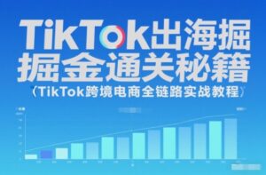 TikTok出海掘金通关秘籍，TikTok跨境电商全链路实战教程-知识创作