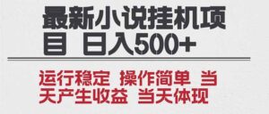 2025全新小说挂机项目 年前吃肉 操作简单，单机当天收益1000+，收益无上限，可矩阵操作-知识创作