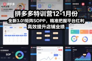 拼多多特训营12-1月份，全新3.01矩阵Sop，精准把握平台红利，高效提升店铺业绩-知识创作