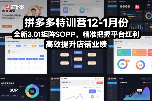 拼多多特训营12-1月份，全新3.01矩阵Sop，精准把握平台红利，高效提升店铺业绩-知识创作