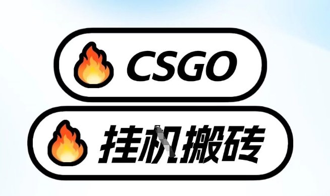 真全网独家CSGO挂G，最新玩法,单日捡漏1K+，不用电脑，不用打游戏【揭秘】-知识创作