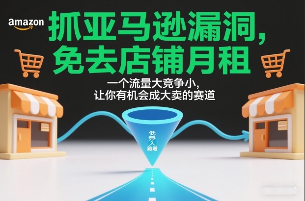 抓亚马逊漏洞，免去店铺月租，一个流量大竞争小，让你有机会成大卖的赛道-知识创作