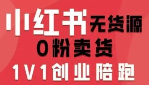 小红书无货源0粉电商课，开店准备、选品策略、笔记撰写、视频剪辑、数据分析、账号打造、资料文档(更新)-知识创作