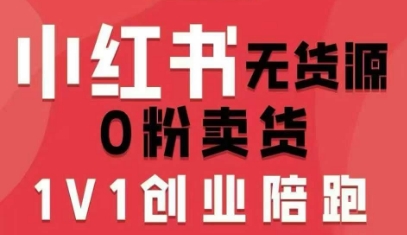小红书无货源0粉电商课，开店准备、选品策略、笔记撰写、视频剪辑、数据分析、账号打造、资料文档(更新)-知识创作