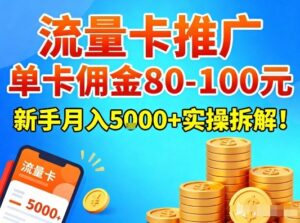 流量卡推广，单卡佣金80-100，新手月入5k+实操拆解！-知识创作