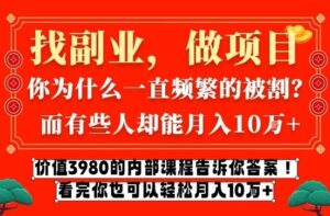 价值3980的网创内部课程，告诉你互联网创业月入10个W的秘密【揭秘】-知识创作